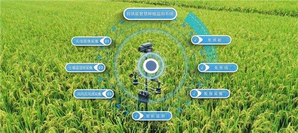 河南:为乡村振兴注入“青”动力(图1)