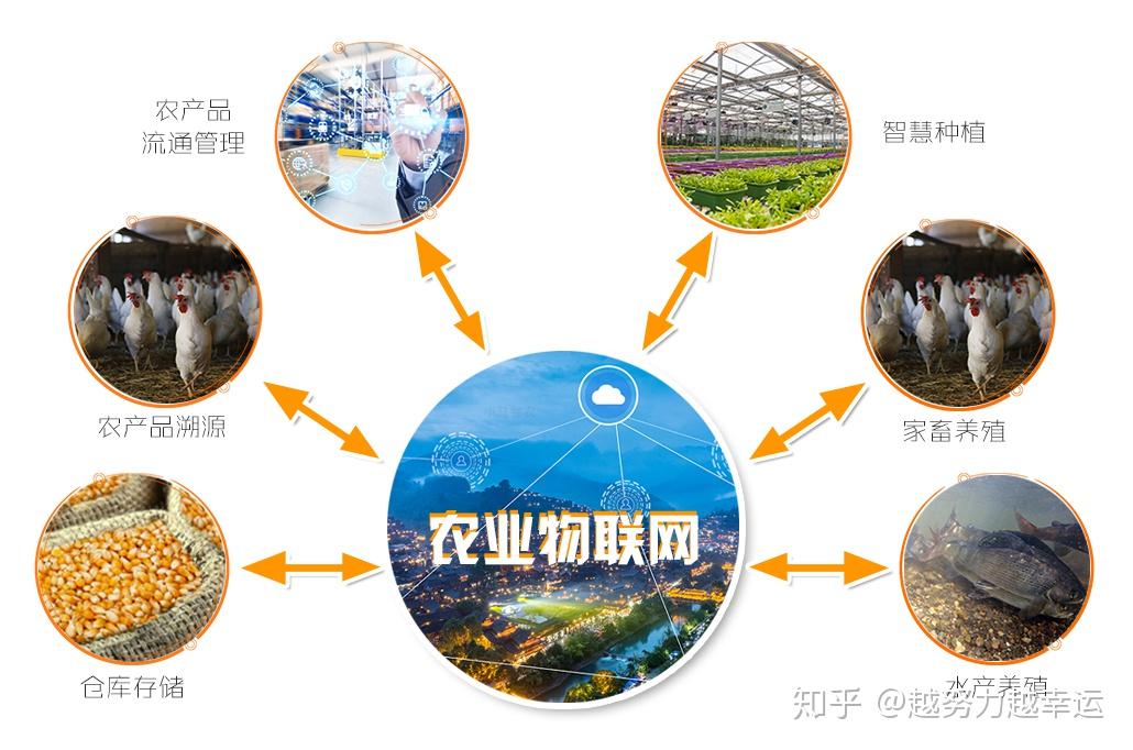 江苏建湖恒济镇:“人工智能+”赋能现代农业高质量发展(图1)