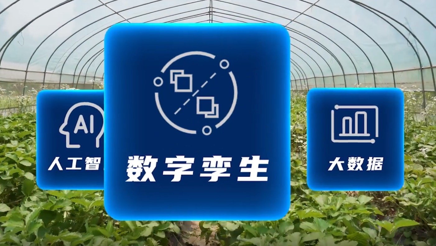 天津市津南区举行“‘三链’绽新彩沃野绘新图——津南区推进现代农业高质量发展”主题媒体集中采访活动(图1)