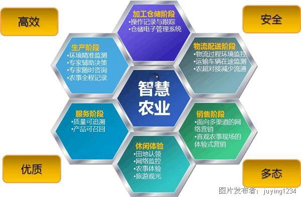 探访新疆兵团现代农业园区解锁产业融合“数”“绿”实践(图1)